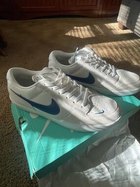 Nike SB force 58. Men’s White Sneakers with Blue Swoosh